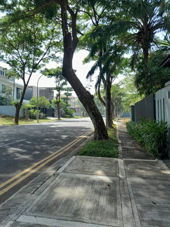 an empty road, with a tree and a building in the background