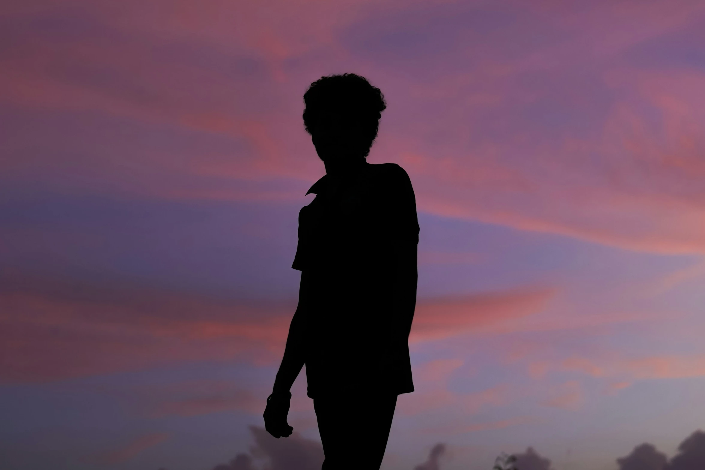 the silhouette of a person standing in the evening