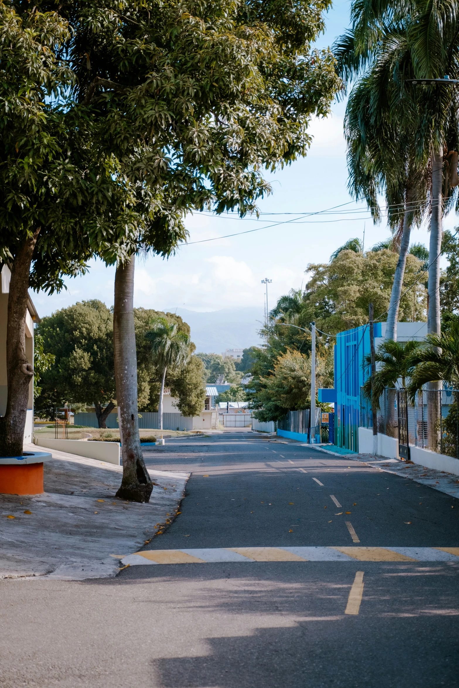 an empty street with trees and a gate