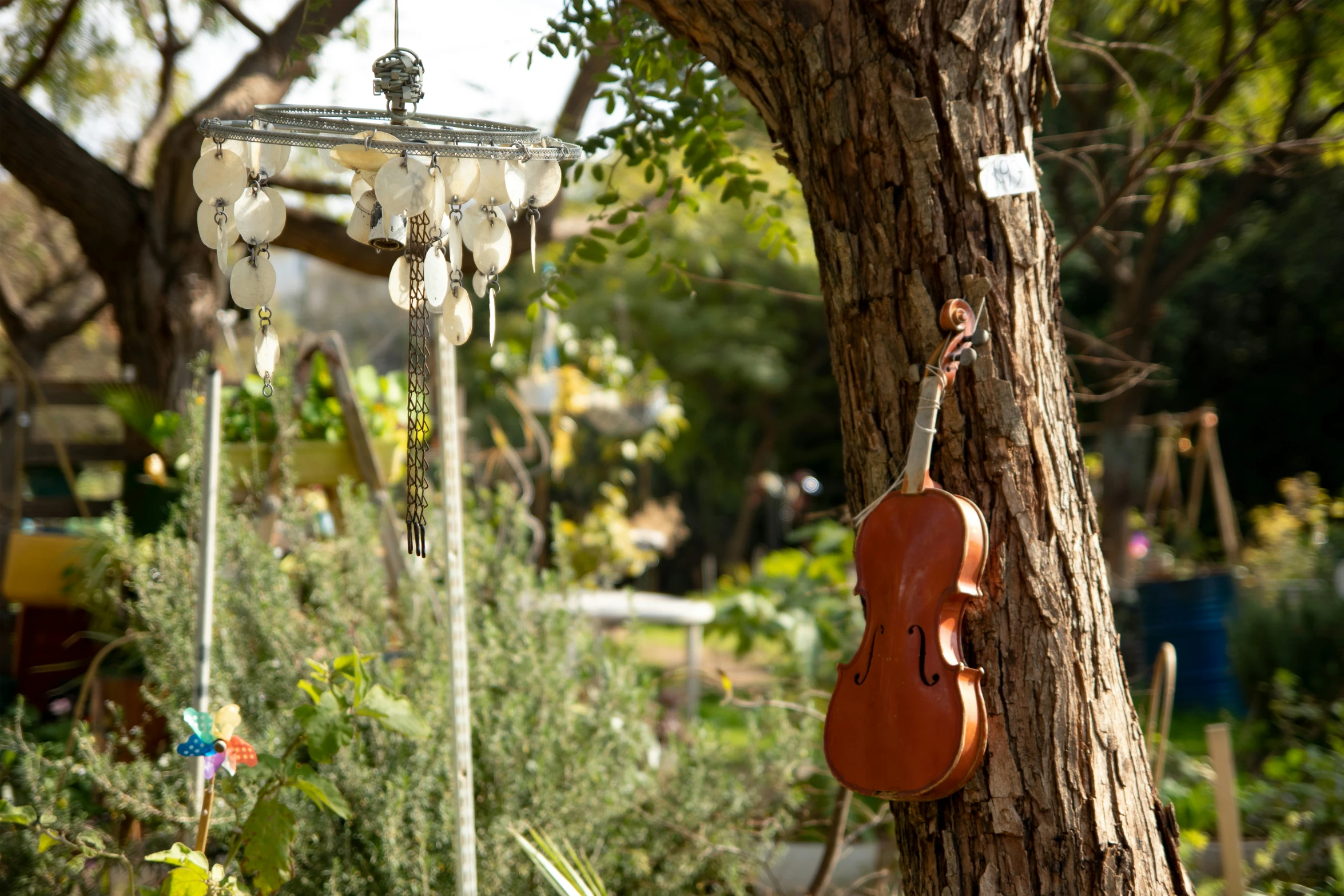 an image of a tree and two musical instruments