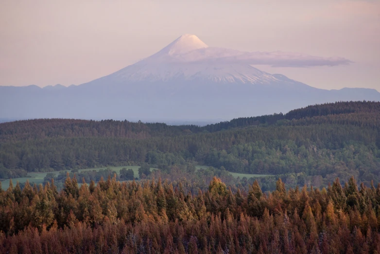 a mountain view with trees on the side and hills in the distance