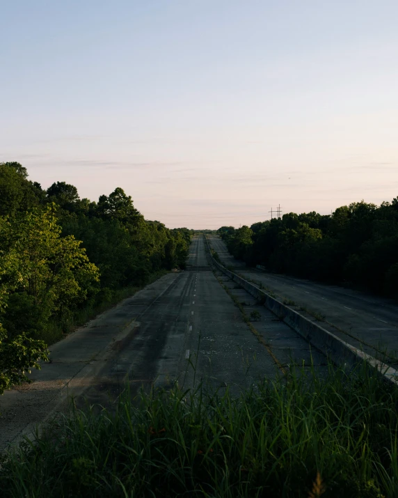 the empty road has green bushes and weeds