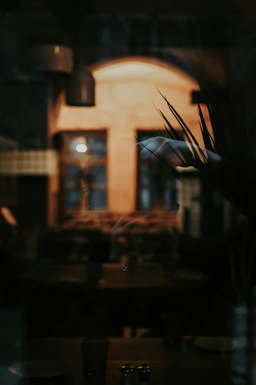 the blurred image shows a dining room table and chairs, and there is a restaurant with an archway