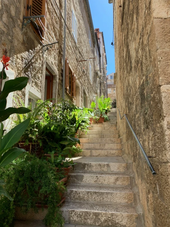 a stone staircase and green plants leading up to the building