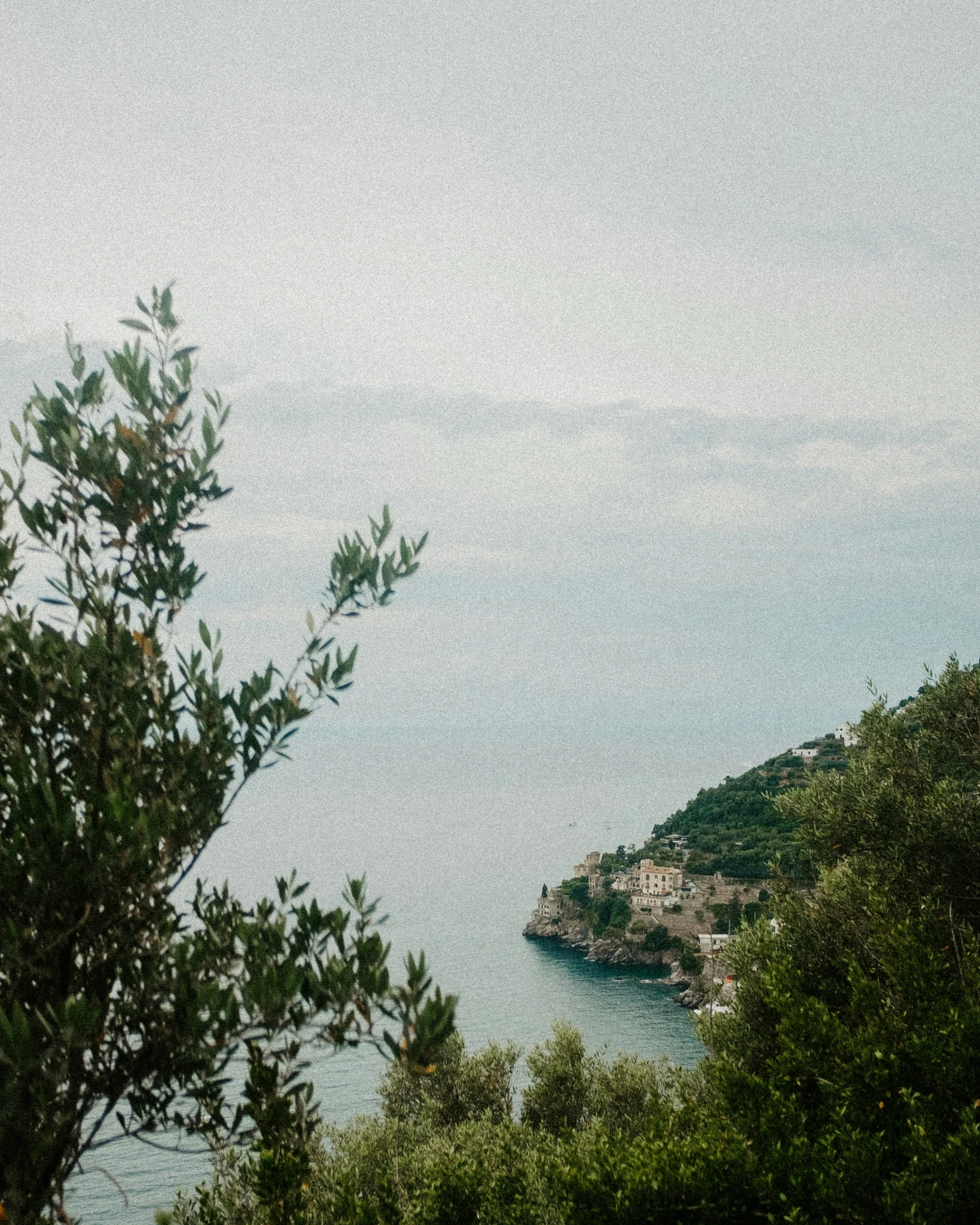 a mountain lake is visible through the trees