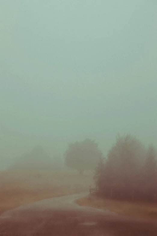 the fog is covering a road in a field