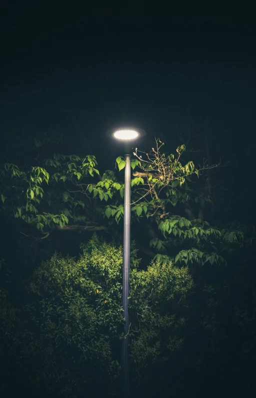 a street light in the middle of the night