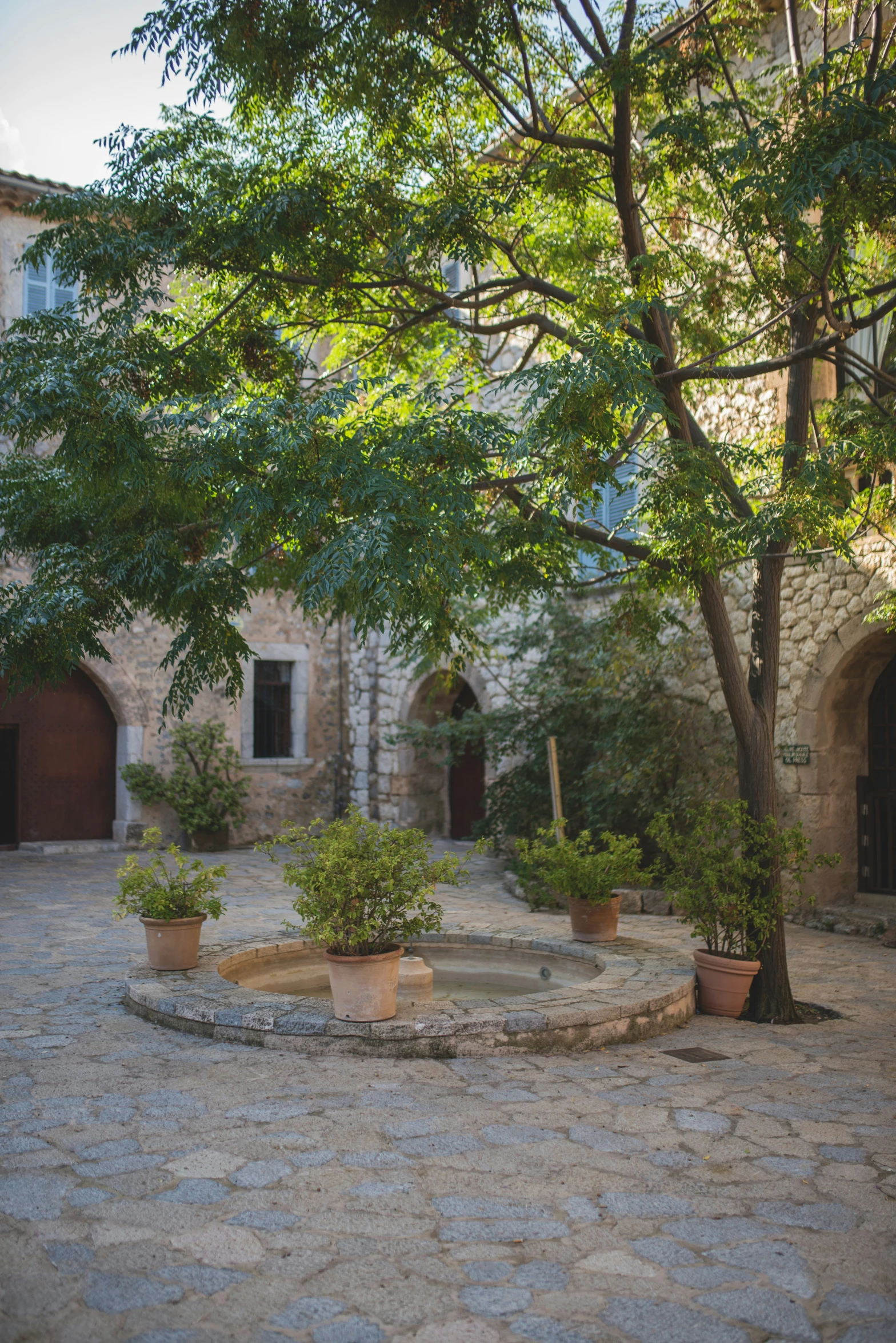 a stone courtyard has trees and pots with plants