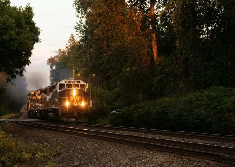 a train travels down the tracks through the woods