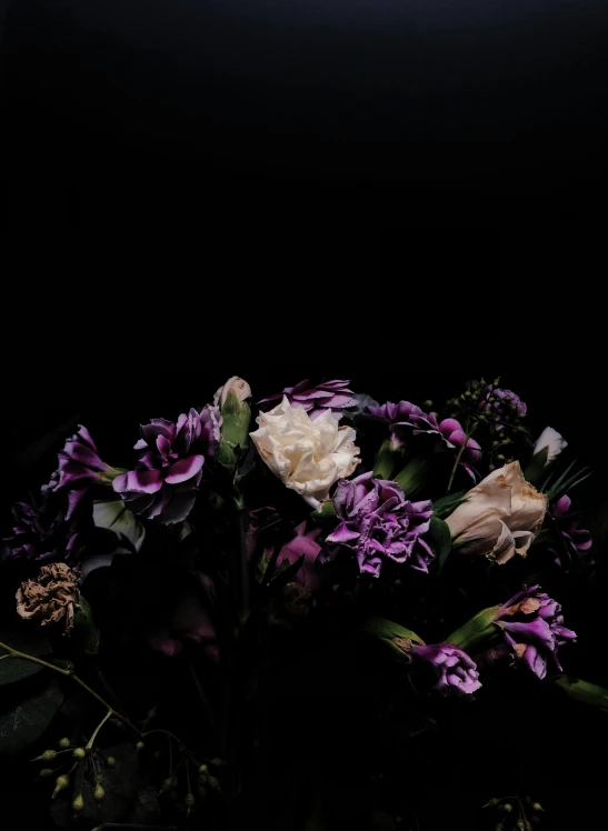 a closeup view of the flowers in the dark