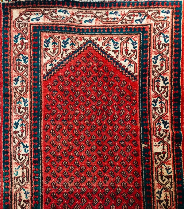 a very detailed persian rug, or carpet with several design elements