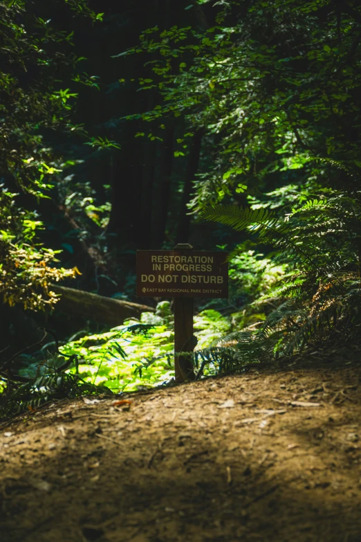 the sign has a trail in the middle of some trees