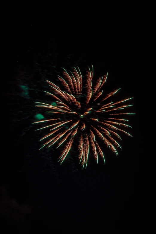 a dark view of an artistic fireworks display