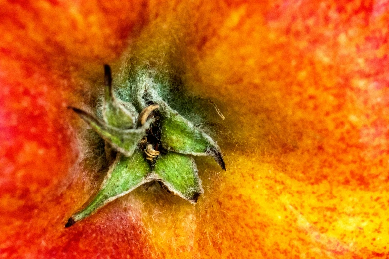 an apple is being used as a background for the image