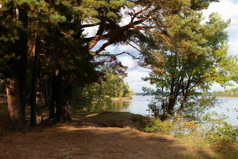 an open grassy area next to a lake