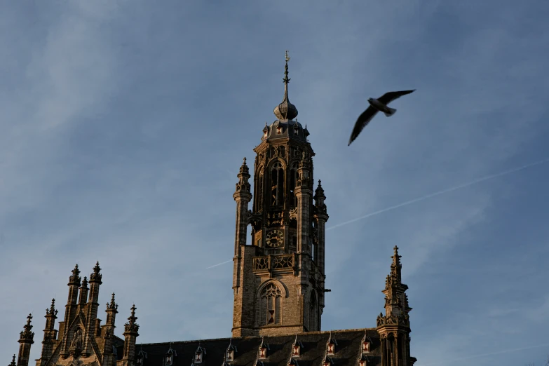 there is a large tower with two sides at the top and a bird flying on top