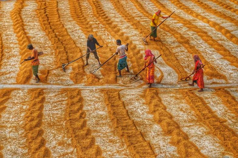 several people walking in a field with mop's