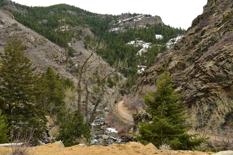 two horses standing in front of a mountainside with rocks and trees