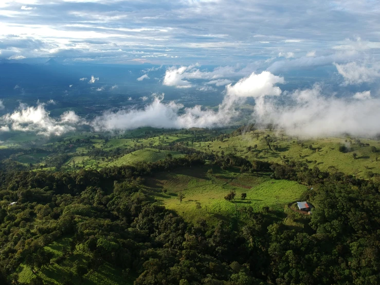 the view from a helicopter over trees, green hills and cloudy sky