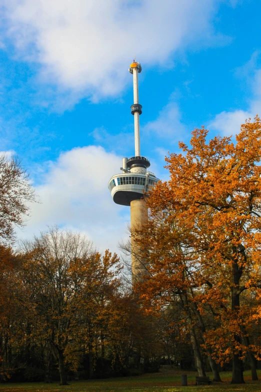 the tower in the background has colorful fall leaves