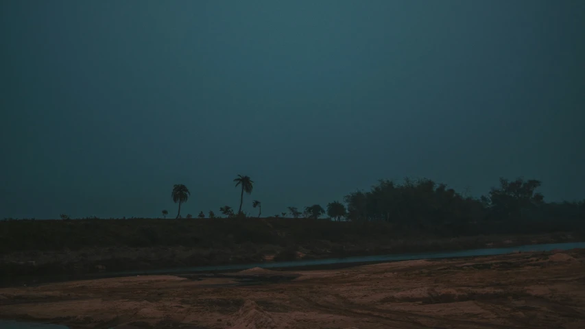 dark sky above the water, with trees and palm trees