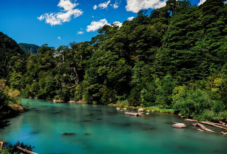 an empty body of water surrounded by trees