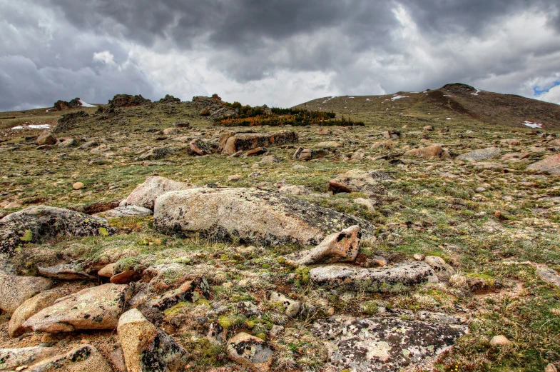 a grass covered hillside with rocks in the foreground