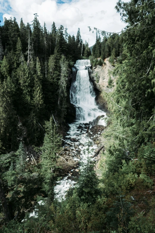 a long waterfall with a number of trees surrounding it