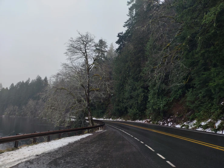 a scenic view of the road surrounded by trees