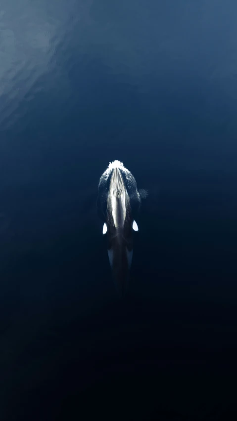 an aerial view of an ocean vessel in the water