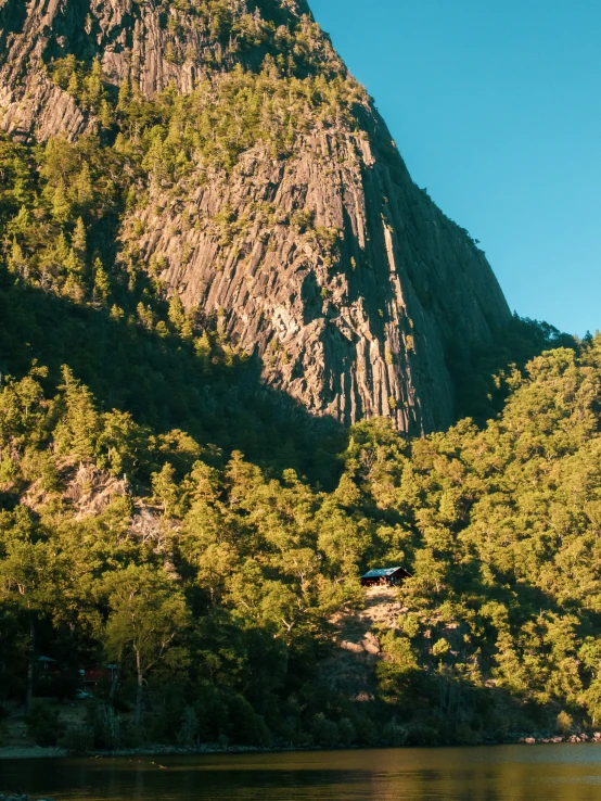 there is a tree covered mountain behind the boat