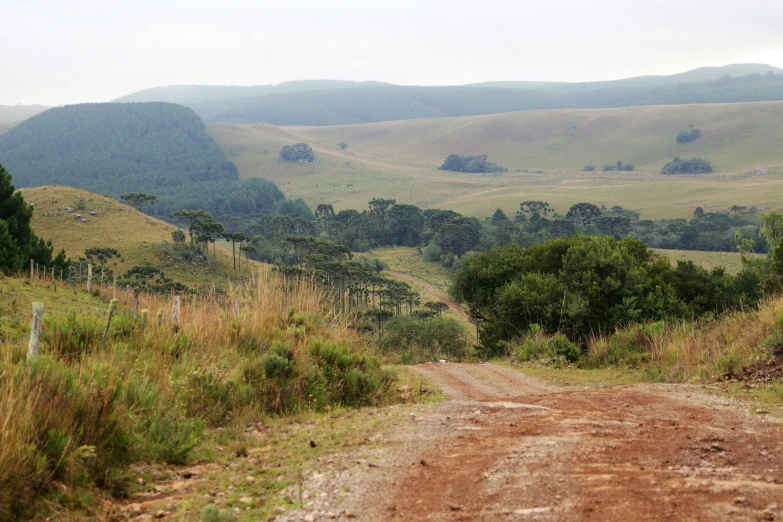 a rural dirt road with trees in the distance