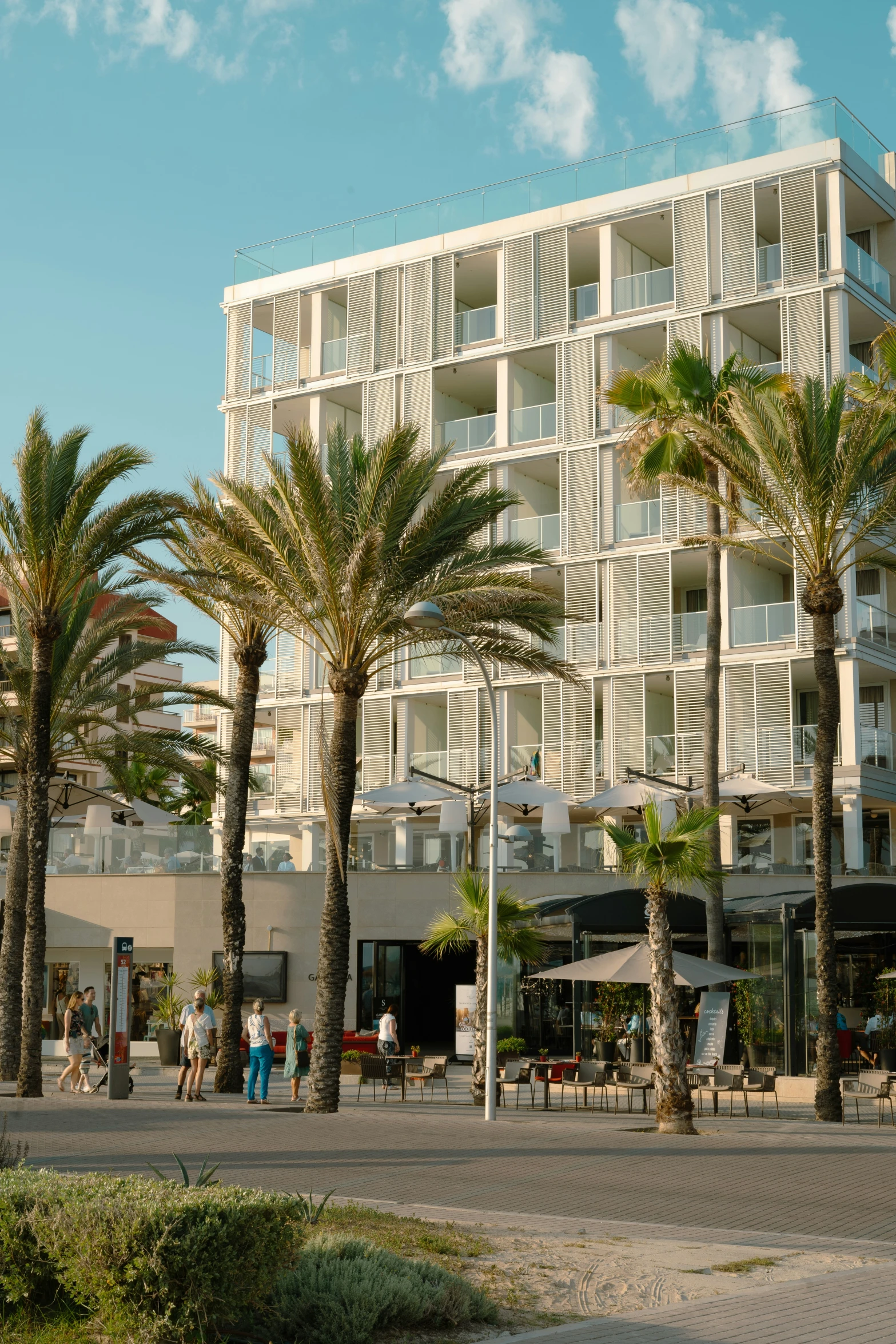 a group of palm trees sit in front of a tall white building