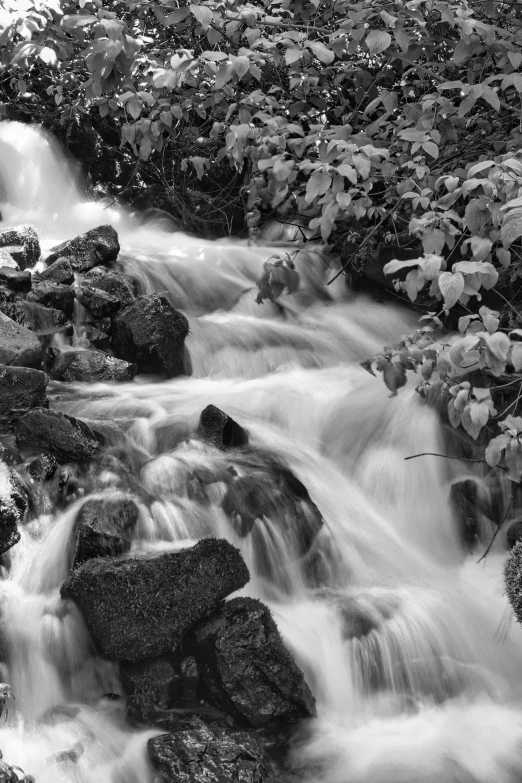 the rocks and water feature have very unique appearance in black and white