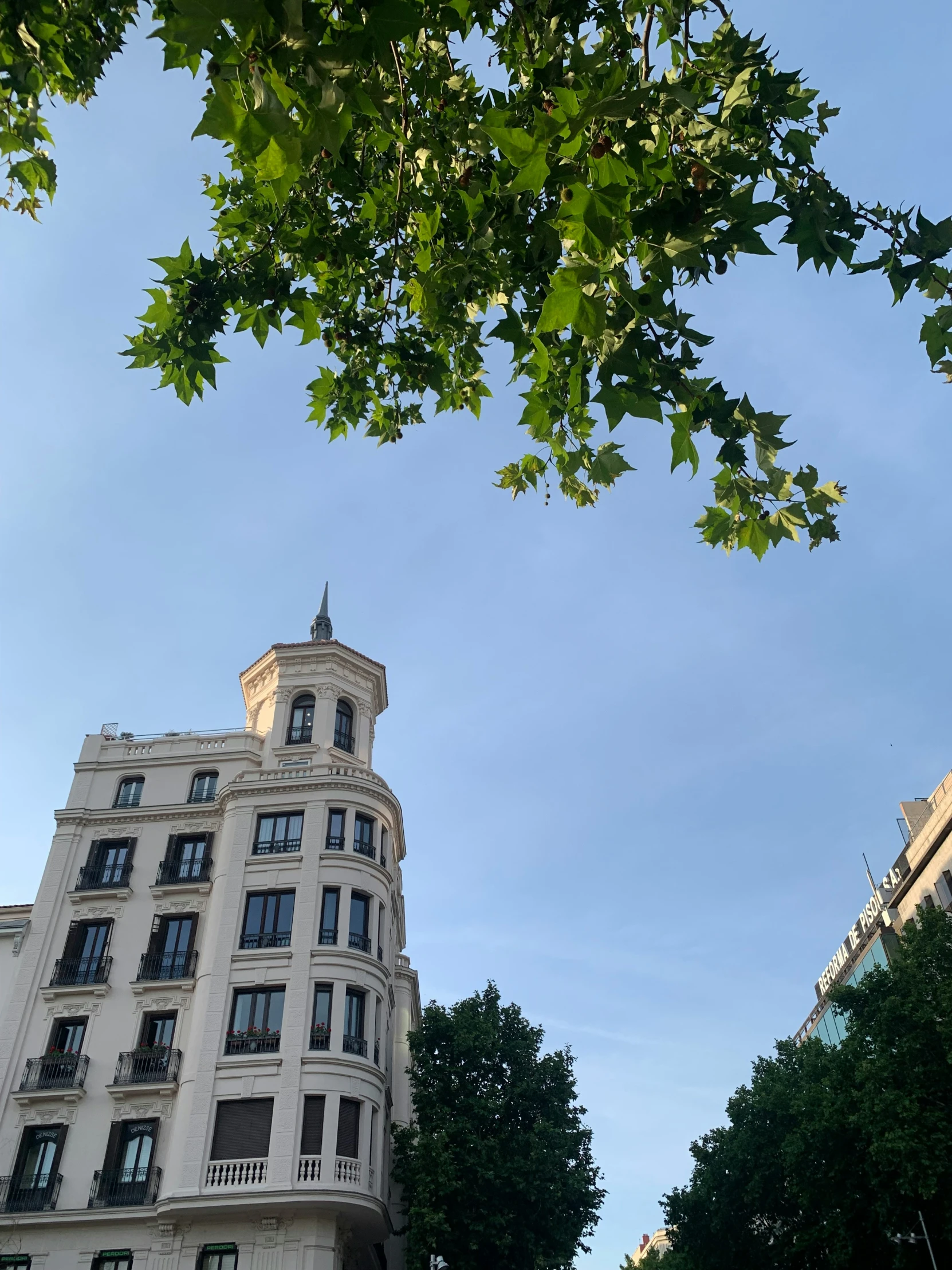 the top of a tall building seen between two trees