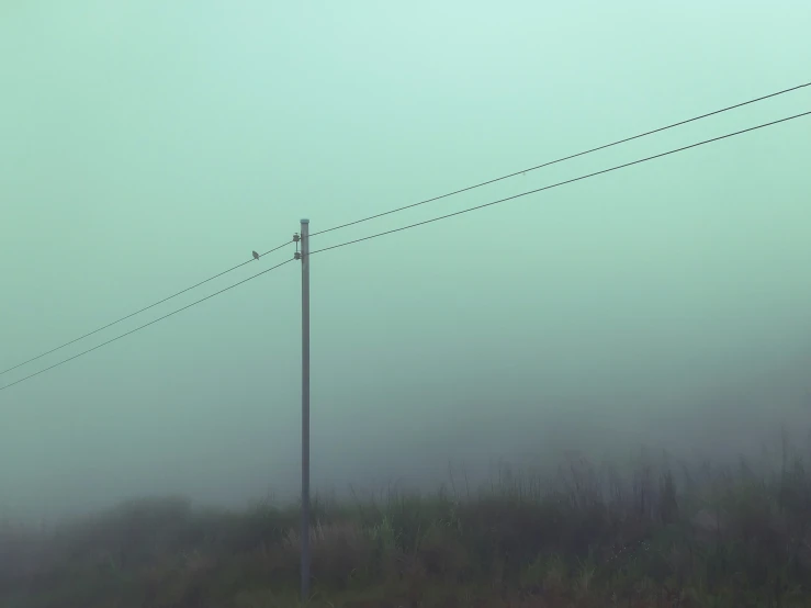 power lines on an open hill in the fog