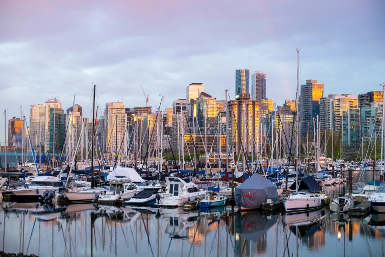 several boats are parked near some tall buildings