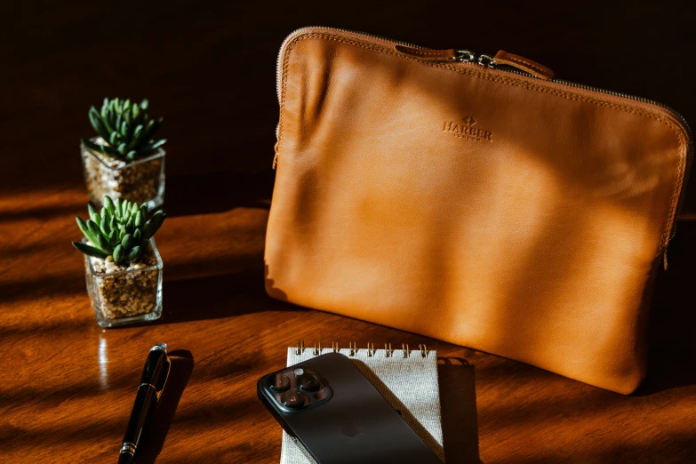 a desk with a case and notebooks, pen and a small succulent