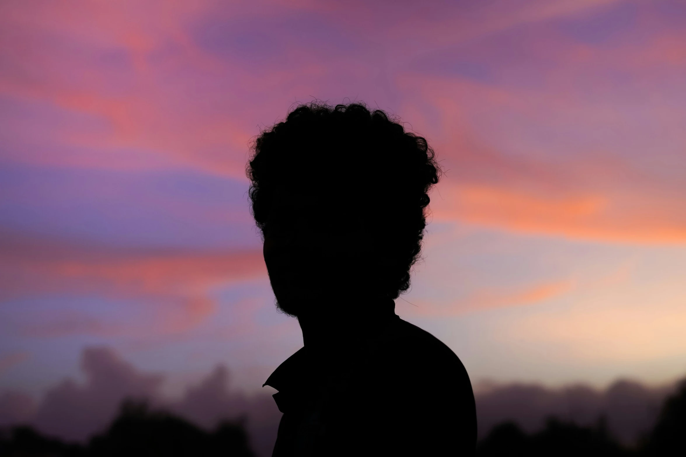 the silhouette of a person with dark hair is shown