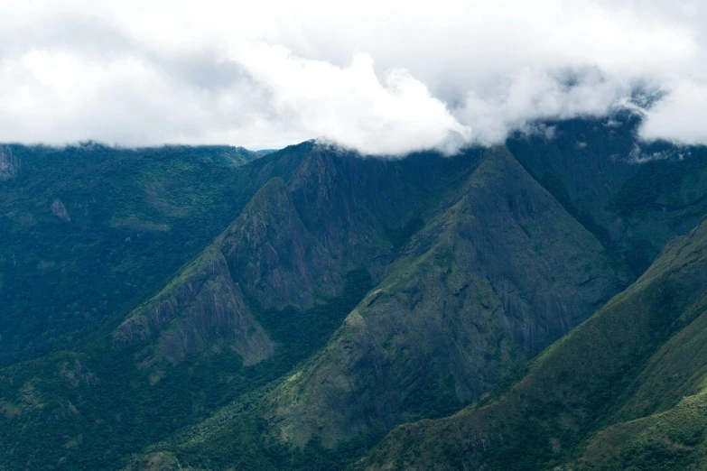 green mountains with clouds and a single bird