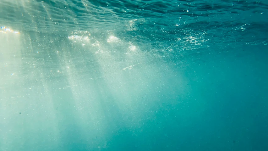 a po taken in the ocean shows the water