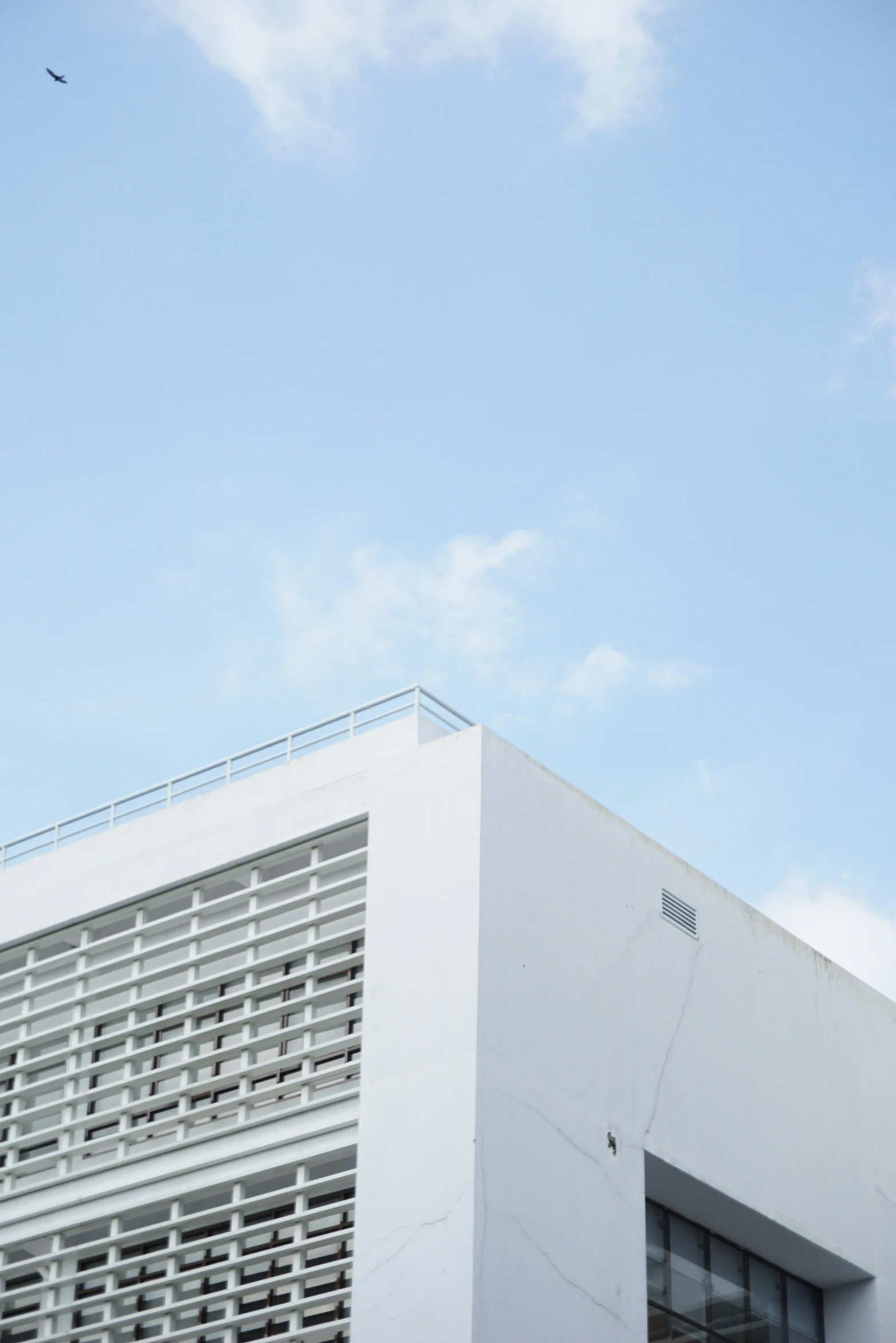 a bird flying above a building against a blue sky