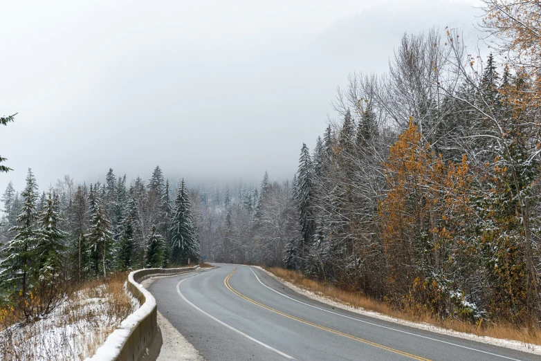 the curved road is shown in an image from the side of the road