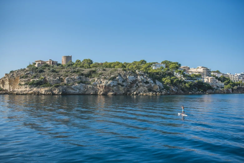 an island near the ocean has a bird in it