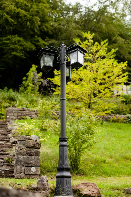 a street lamp on a pole stands in the grass