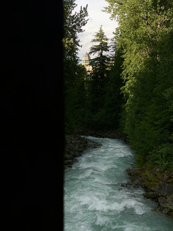 a river that is next to trees and grass