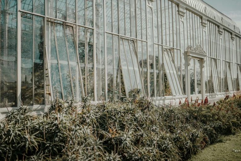 the building is glass with a small garden area in front