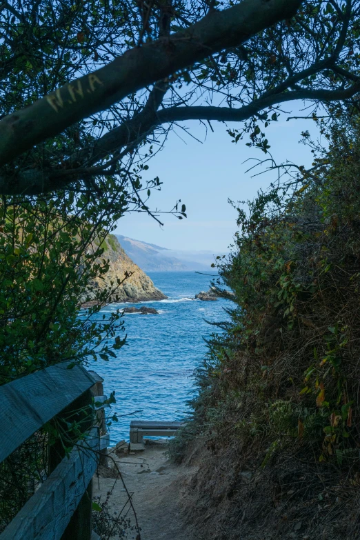 a path leading to a water way with rocks and shrubs along both sides