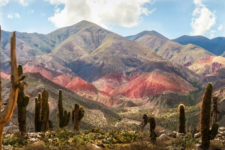 a view of a mountainous landscape with cactus and a sky background