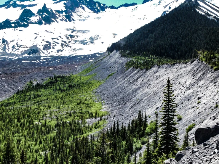 a scenic landscape with a large mountain covered in snow